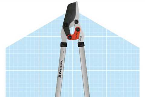These are the 7 best loppers for easy tree trimming