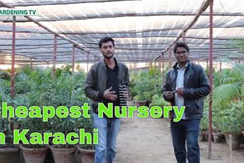 Cheapest Nursery in Karachi | Buy online Cheap Plants | Plants Nursery Online | Buy Pots Online