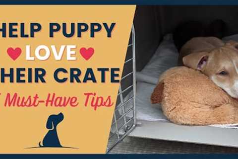 Crate Training Helping Your Puppy Love Their Space 5 Must Have Tips