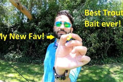 Big Bear Lake Fishing MADE EASY! The BEST New Setup For Catching Trout! Catch &amp; Cook Rainbow..