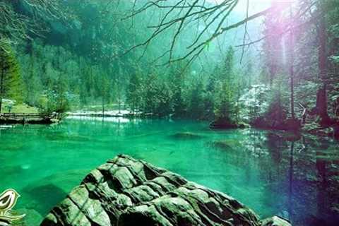 Relaxing Sleep Music • Deep Sleeping Music, Relaxing Music, Stress Relief, Meditation Music (Flying)