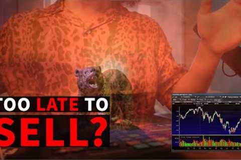 THE STOCK MARKET IS GOING TO GET WORSE