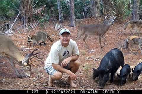 Tim Harrell - Browning Trail Camera Pickup