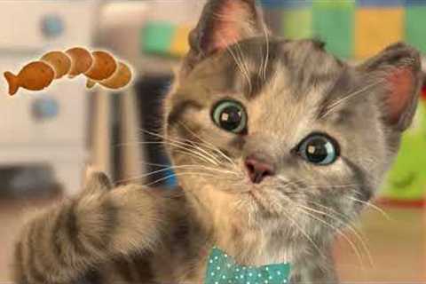 Little Kitten My Favorite Cat Cute Kitten Advemtures CAT IN REAL LIFE  Best App for Kids