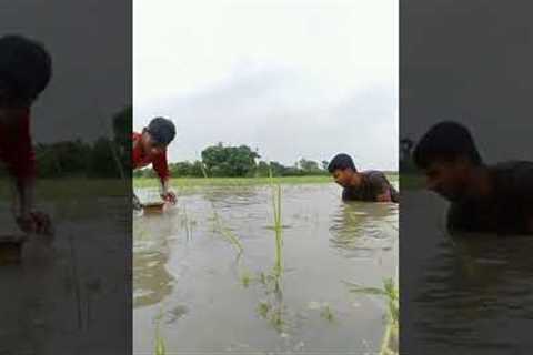 Village Professional Fishermen Fishing Skills
