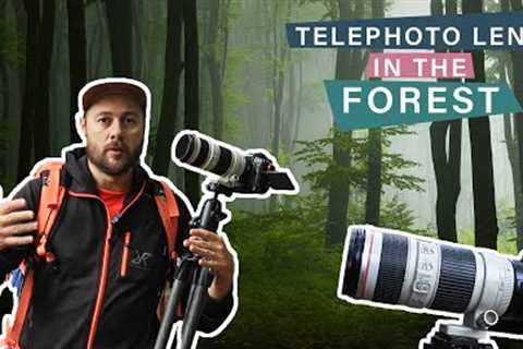 Photographing the Forest With Long Lens - Forest Photography Tips and Settings
