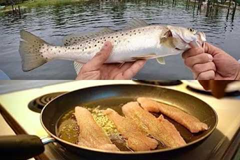 Speckled Trout Catch Clean and Cook + My TOP SECRET Fish Taco Recipe