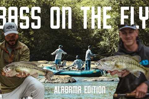 Fly Fishing for Bass | Epic Streamer Fishing! | 5 Bass Species in 3 Days