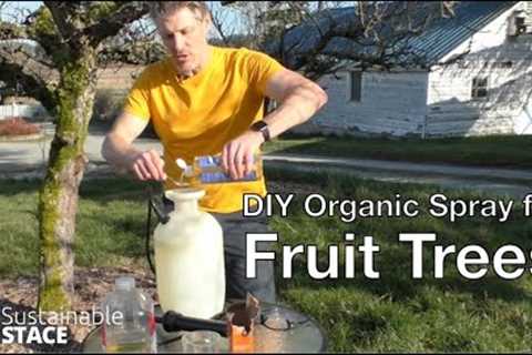 DIY Organic Spray for Fruit Trees
