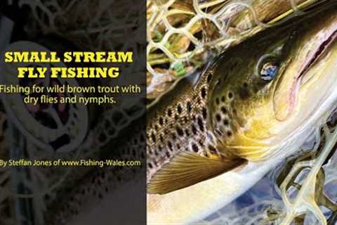 BROWN TROUT FISHING; SMALL STREAM DRY FLY &amp; NYMPH FISHING IN WALES, BY STEFFAN JONES