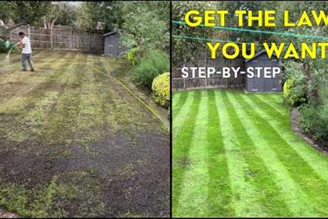 How to FIX an UGLY Lawn | Step by Step for Beginners EASY Lawn Renovation