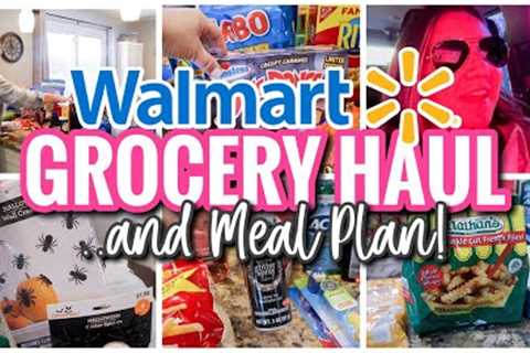 LARGE WALMART GROCERY HAUL | FAMILY OF 5, SOMETIMES 6+, GROCERY HAUL WITH MEAL PLAN