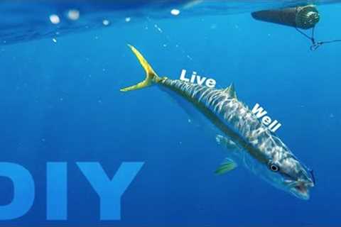 How to make a DIY live well, baitube, bait tank | Mackerel scad, Goggle eyes, and Ballyhoo