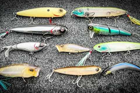 FALL TOPWATER FISHING: The BEST Baits For EVERY Situation!