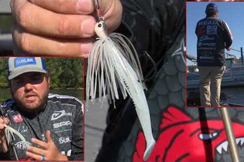 How To Fish A Chatterbait In The Fall with Michael Neal | Bass Fishing