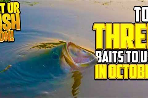 THREE Bass Fishing Baits to use in October - Beginner Fishing Tips