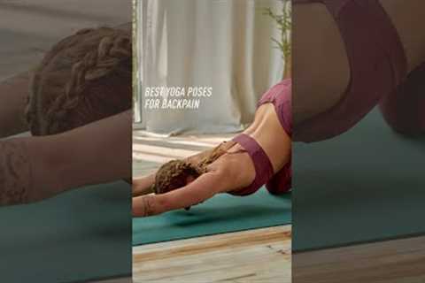 Best Yoga Poses For Back Pain Relief