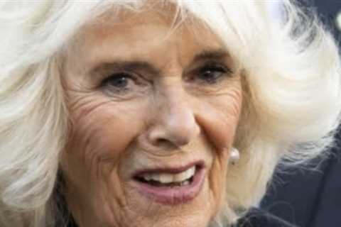 Camilla's Allegatedly Harsh Reaction to Harry's Reconcile Plans
