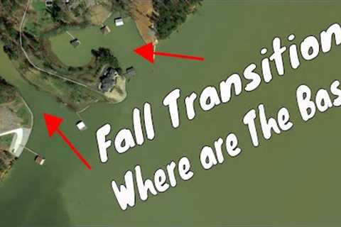 How to Find Fish During the Summer to Fall Transition - Bass Fishing