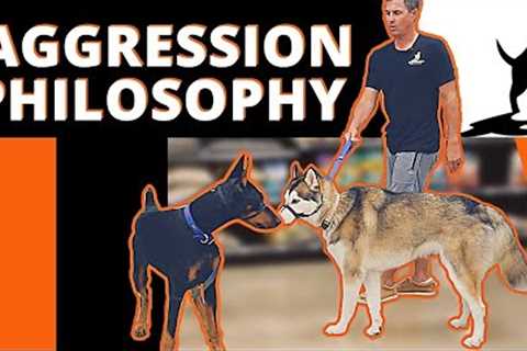 Learn How to Help all Forms of Aggression and Reactivity - Kahoots Pet Store Live Event.