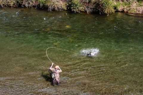 Amazing Day Fly Fishing | We Lost Count of the Trout we Caught!