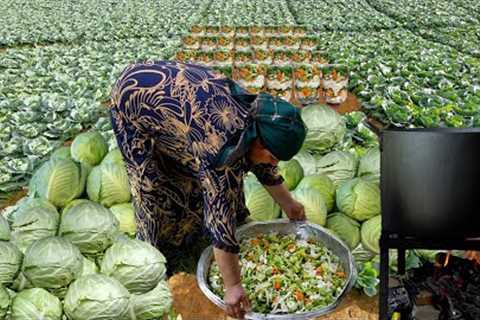 Vegetable Garden - Cabbage Harvest and Preserving for Winter