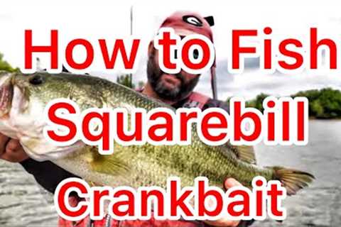 How to Fish a Squarebill Crankbait - Fall Bass Fishing