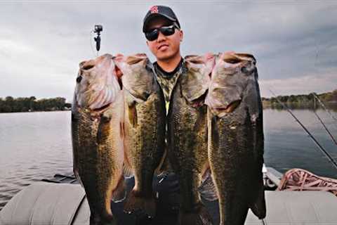 Fall Bass Fishing is FINALLY Here!