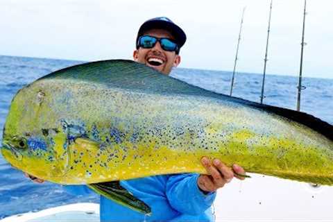 Monster Dolphin in the Florida Keys, Catch N Cook - 4K