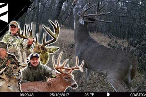 Where Is The Best Spot For October Trail Cameras? We Asked The Pro's