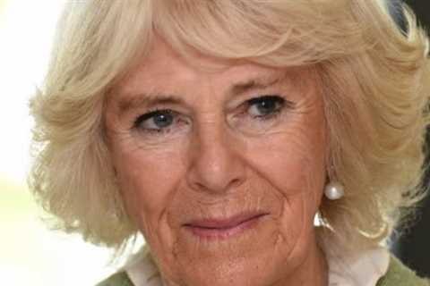 Ex-staffers Share Their Message to Princess Diana's Lovers About Camilla