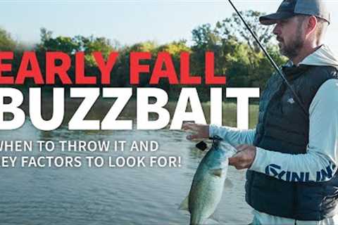 Early Fall BUZZBAIT! (When &amp; Why you should throw it)