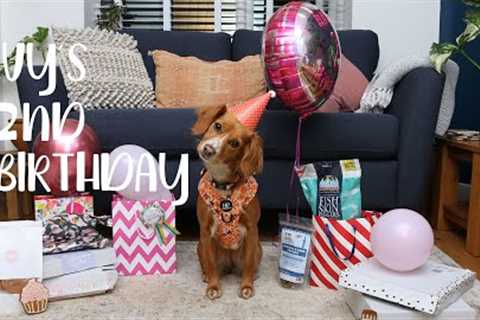 PUPPY unwraps BIRTHDAY PRESENTS
