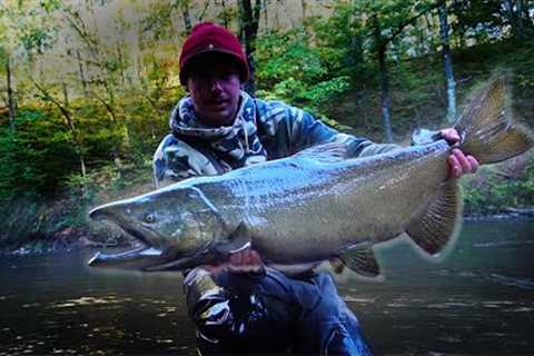 Fly Fishing for King Salmon: Why I QUIT Doing This!
