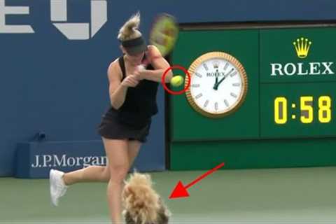 September Week #2 Best Plays &amp; Fails in Sports | Highlights, Bloopers &amp; Funny Moments | Sep ..