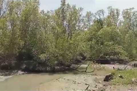 catch and cook fish in the morning! | Bukid LifePh
