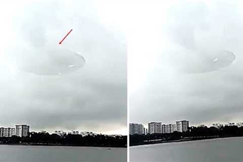 Someone Has Just Reported That Something Massive Was Accidentally Captured During A Livestream