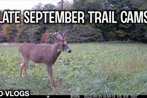 Bailey Farm Trail Cams Late September 2022