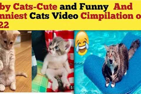 Baby Cats-Cute and Funny and Funniest Cats Video Compilation