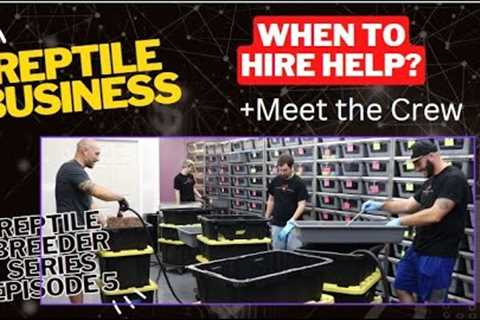 When to hire help? Meet the new crew! - Reptile Breeder Series Episode #5