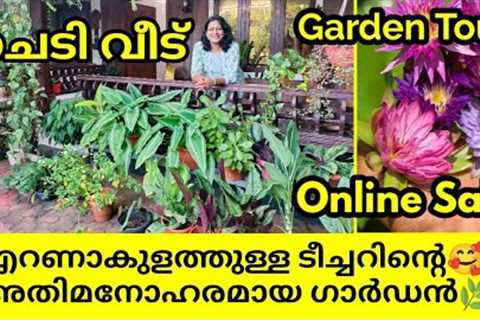 Beautiful Home Garden Tour || Hanging plants || Rare plants || Rose || Bougainville || DIY ideas🔥