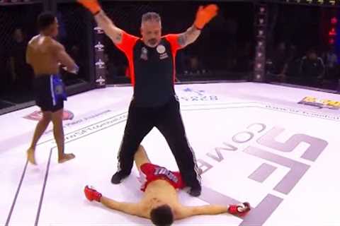 Best MMA Knockouts, 2nd Quarter of 2022 fights, HD