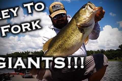 The Best Lake Fork Bass Fishing Tip For 2022!!! How To Fish The Best Structure Like A Pro Angler!