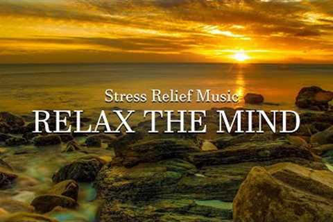 Best Relaxing Music - Piano Music Relax Mind, Reduce Stress, Study and Sleep Well
