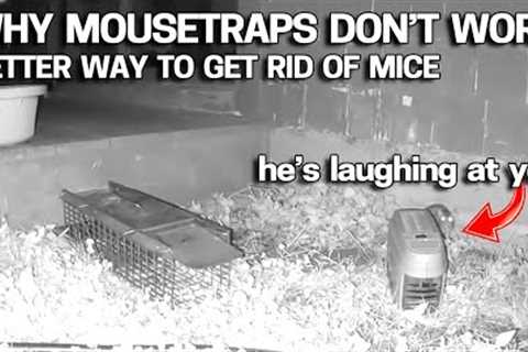How to Get Rid Of Mice Forever - NO Traps &amp; NO Poisons - UPDATE