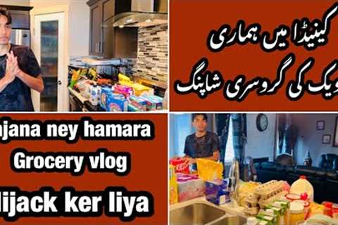 Canada main hamari 2 weeks ki grocery shopping || First time Dajana ney grocery haul main entry ki😇