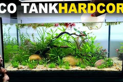 The Ecosystem Tank: HARDCORE MODE (Walstad Method, No Filter, Low Tech, Dirt, Aquascape Tutorial)