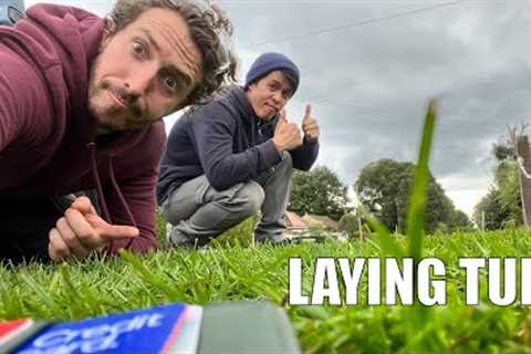 Laying Turf / Sod | Patch That UGLY Bit Of Your Lawn | Rolawn Turf