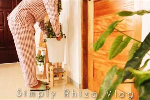 Decorating My Tiny House with Plants/ Planterior/ DIY Projects