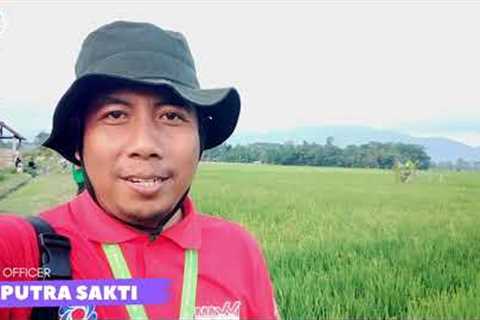 Modern Farming Technology System Mechanization || Drone Pesticide Maxxi Tani Extraordinary